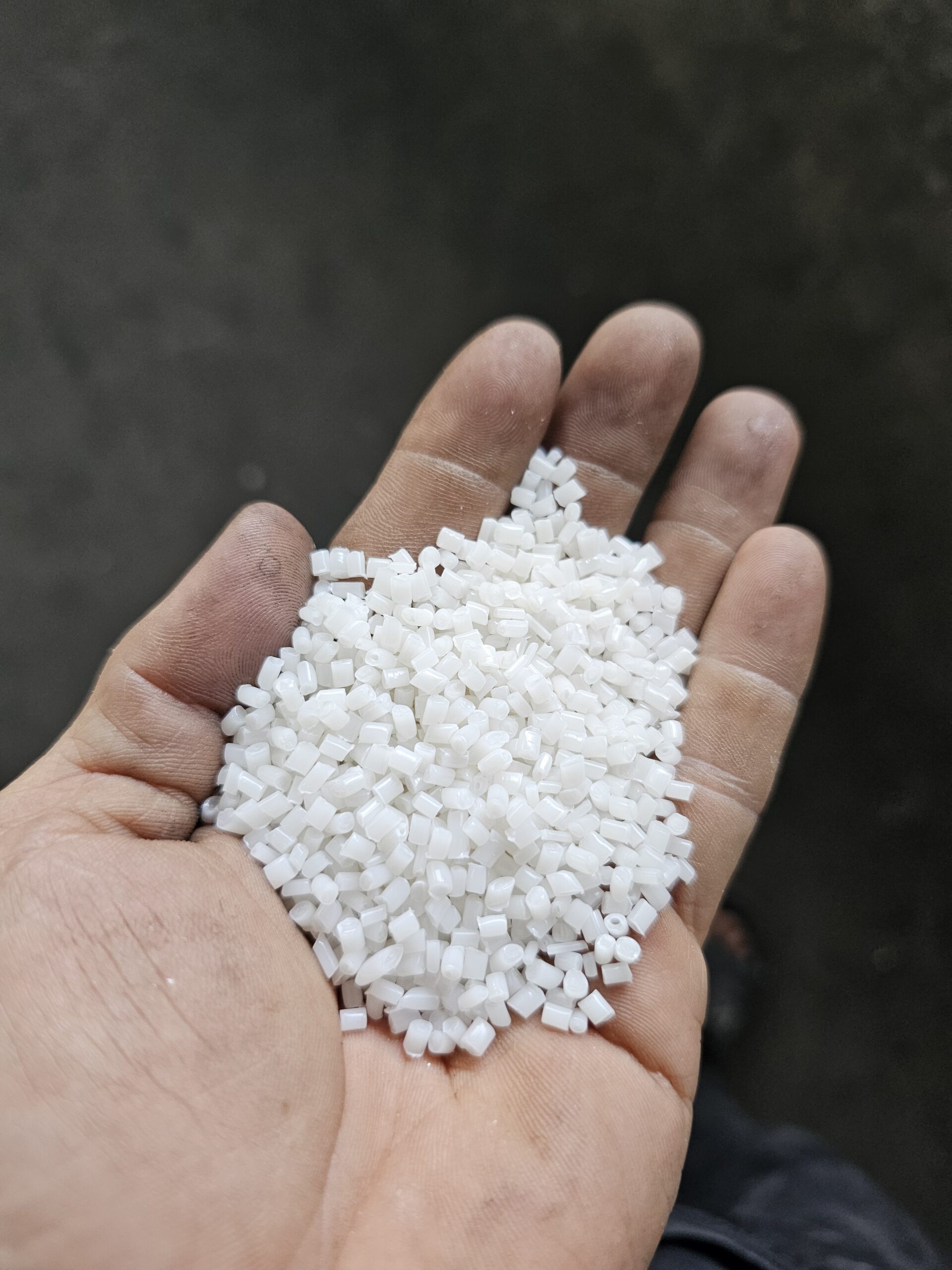 POM trắng tái sinh